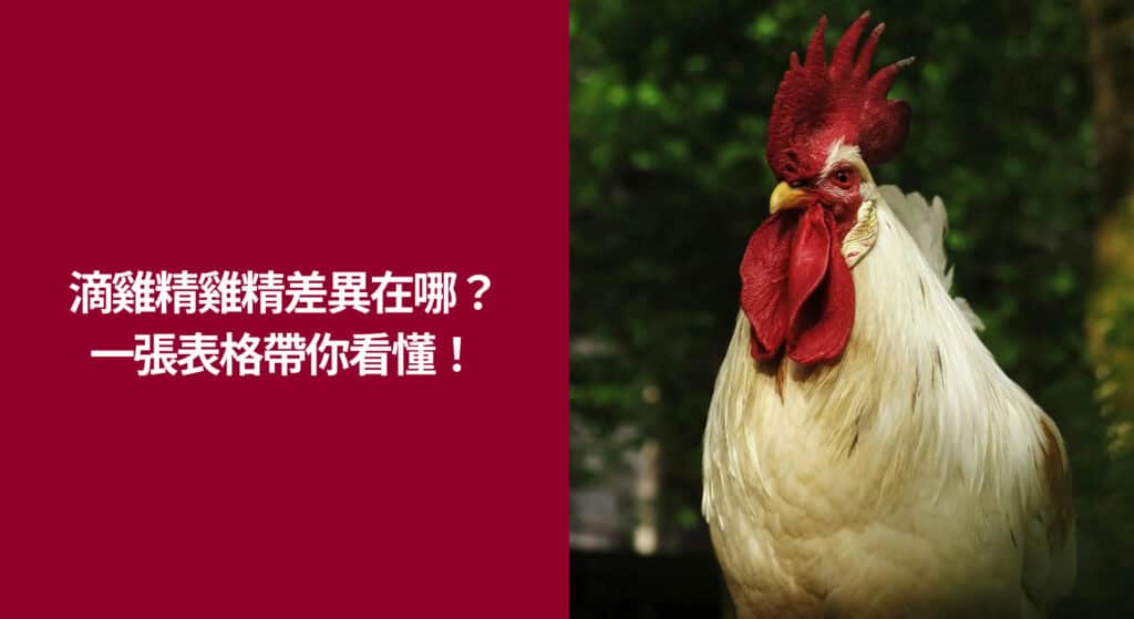 ⭐ 滴雞精雞精差異在哪？一張表格帶你看懂！